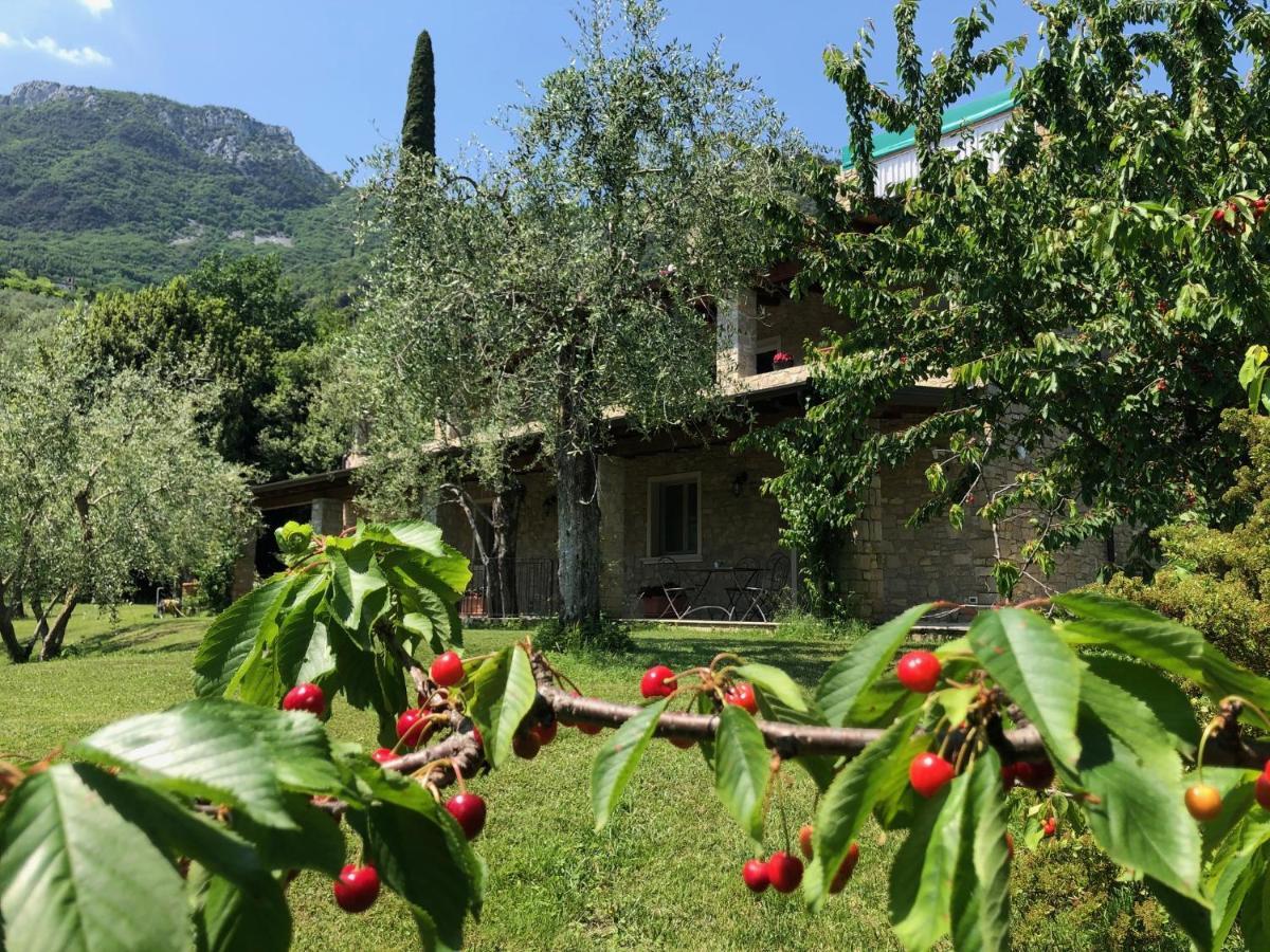 La Cascata Negli Ulivi Bed and Breakfast Toscolano Maderno Εξωτερικό φωτογραφία