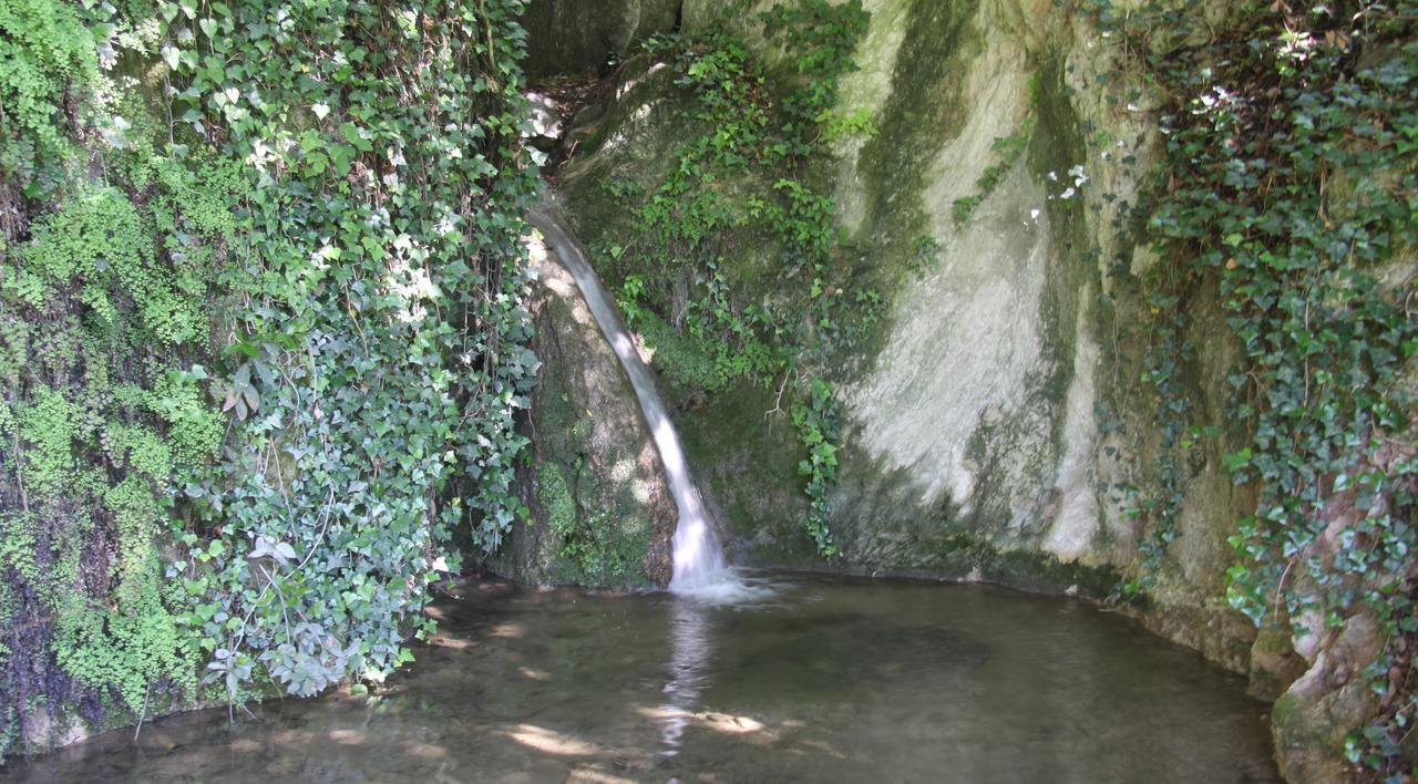 La Cascata Negli Ulivi Bed and Breakfast Toscolano Maderno Εξωτερικό φωτογραφία