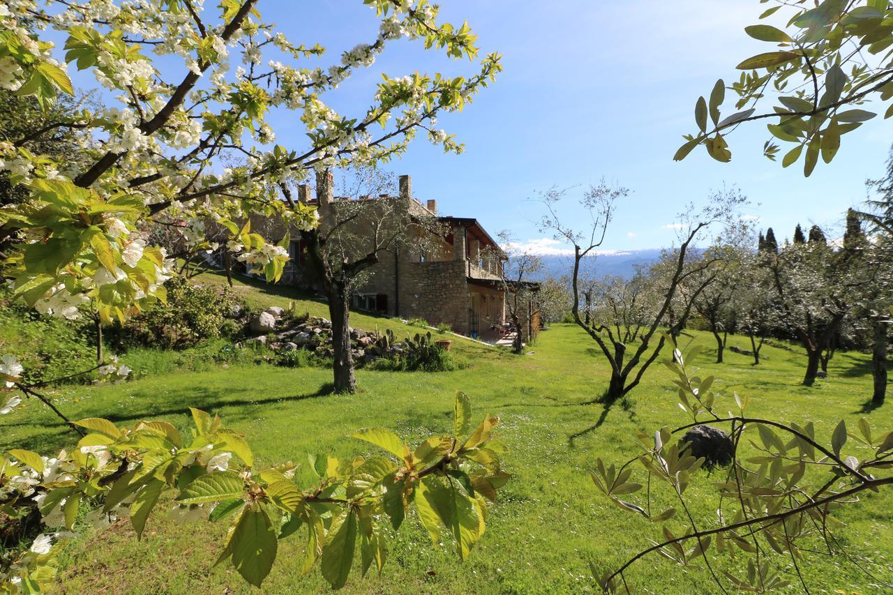La Cascata Negli Ulivi Bed and Breakfast Toscolano Maderno Εξωτερικό φωτογραφία