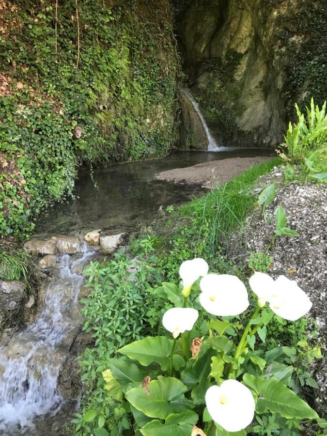 La Cascata Negli Ulivi Bed and Breakfast Toscolano Maderno Εξωτερικό φωτογραφία