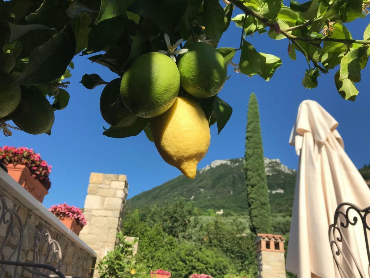 La Cascata Negli Ulivi Bed and Breakfast Toscolano Maderno Εξωτερικό φωτογραφία