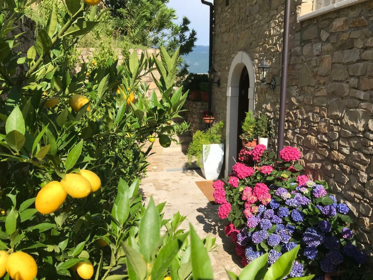 La Cascata Negli Ulivi Bed and Breakfast Toscolano Maderno Εξωτερικό φωτογραφία